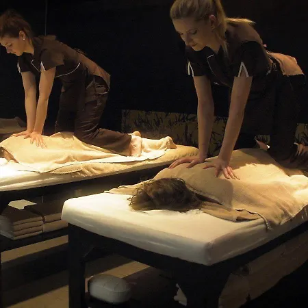 Hotel Domaine De Joinville 3*