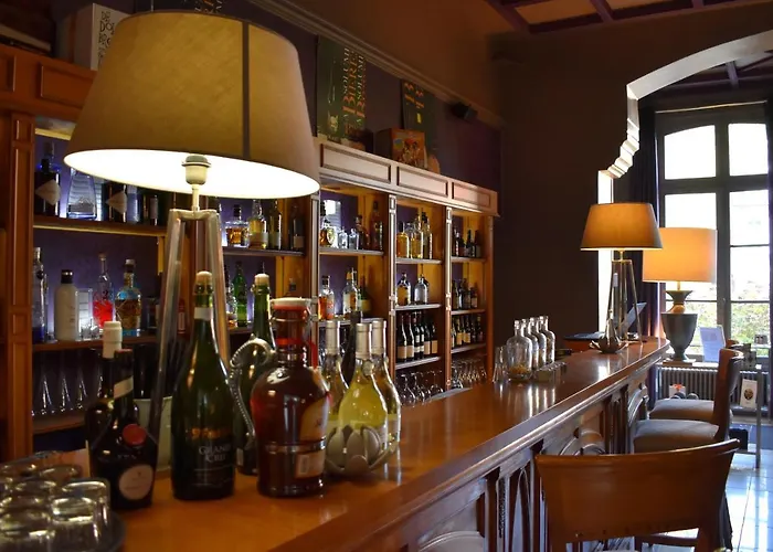 Domaine De Joinville & 酒店 3*